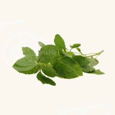 Basil Leaf / Krapao (ใบกะเพรา)