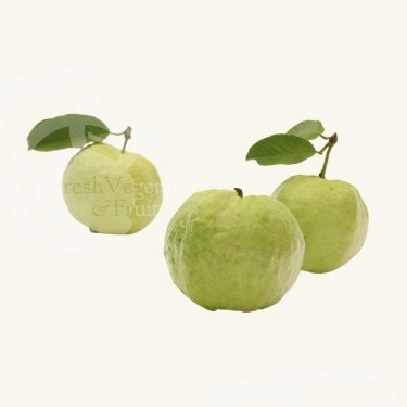 GUAVA (ฝรั่ง)